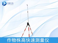 �������������ʲô����������������